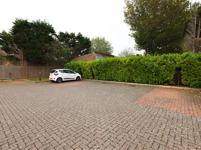 Picture 18